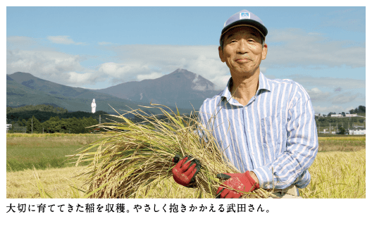 大切に育ててきた稲を収穫。やさしく抱きかかえる武田さん。